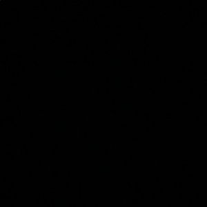 Meet your Posher, Tristan